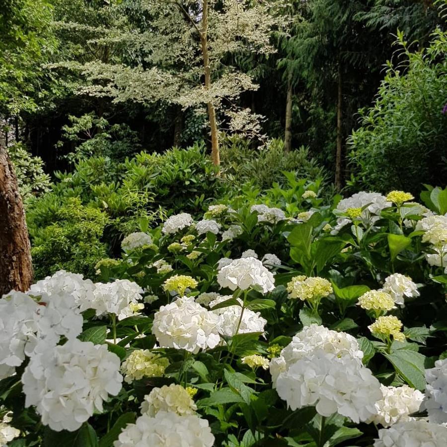 Oxford Ribblesdale Gardens Barnヴィラ エクステリア 写真